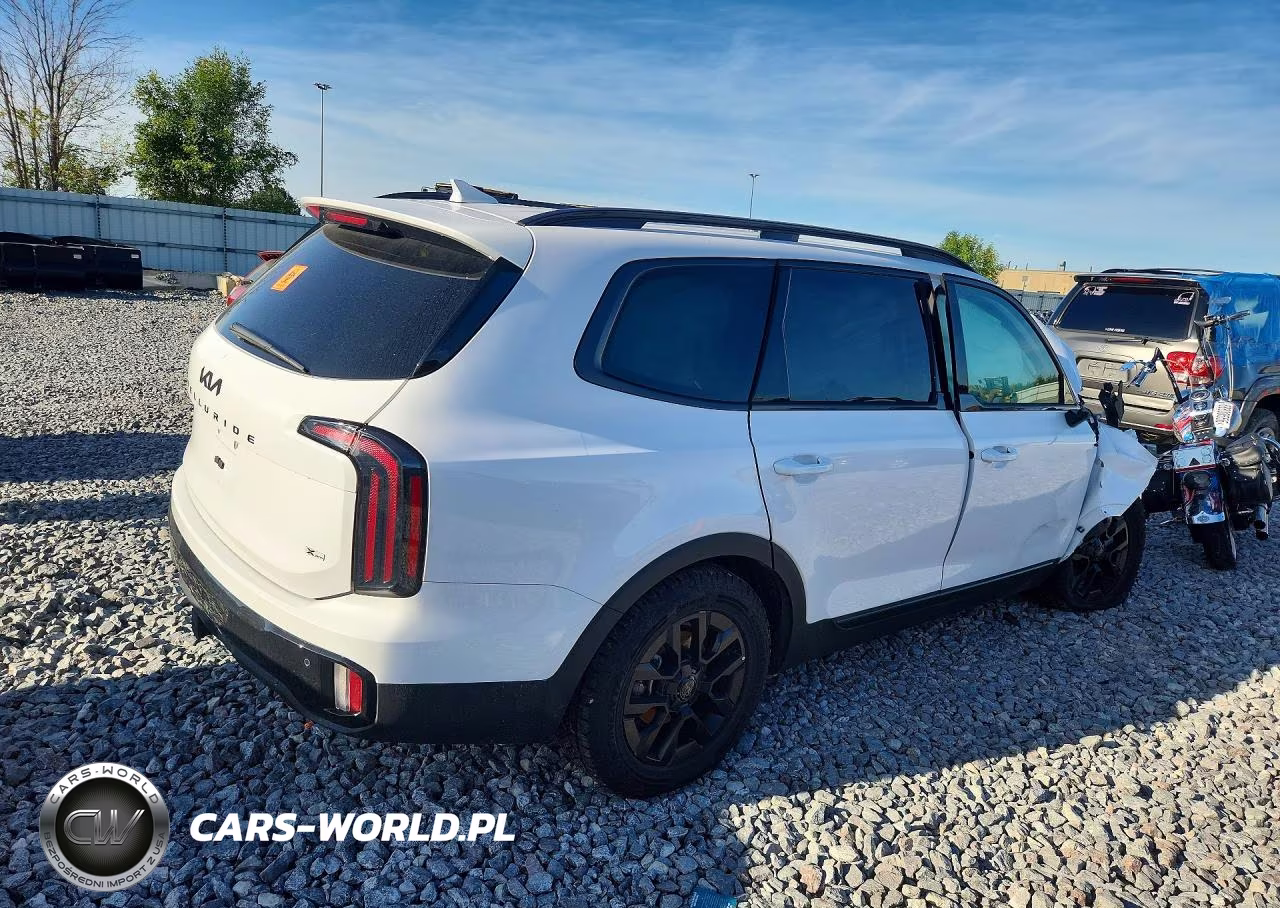 2025 Kia Telluride Sx-Prestige X-Pro VIN:5XYP5DGC7SG653445 - 3