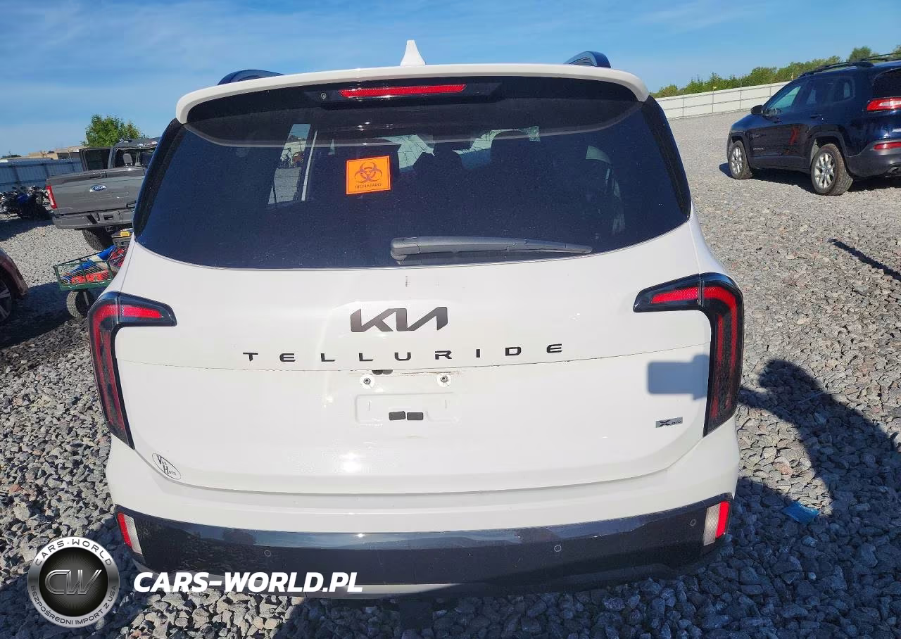 2025 Kia Telluride Sx-Prestige X-Pro VIN:5XYP5DGC7SG653445 - 6