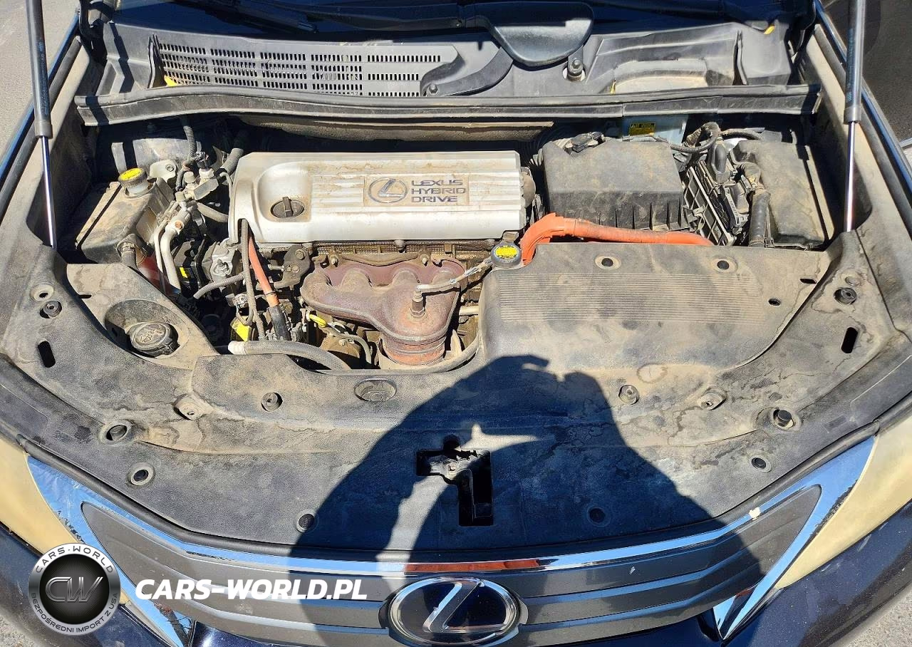 2010 Lexus Hs 250H VIN:JTHBB1BA0A2001121 - 11