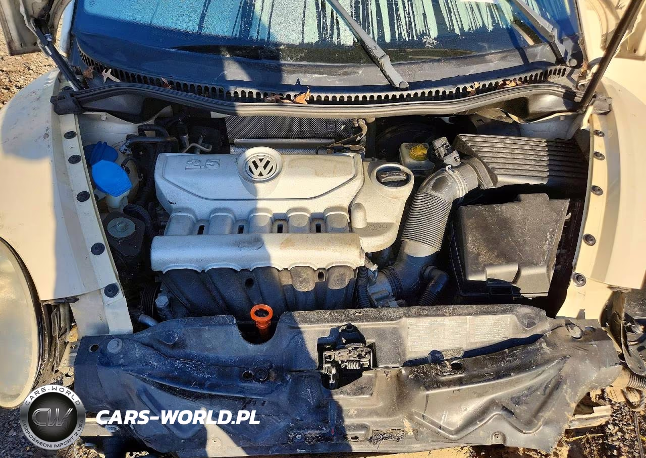 2009 Volkswagen New Beetle S VIN:3VWPW31C79M501658 - 11
