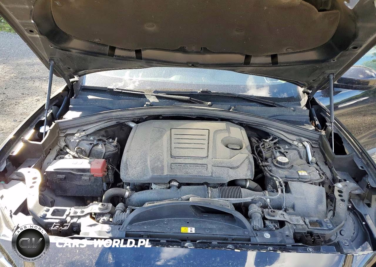 2019 Jaguar F-Pace VIN:SADCS2FX8KA605702 - 12