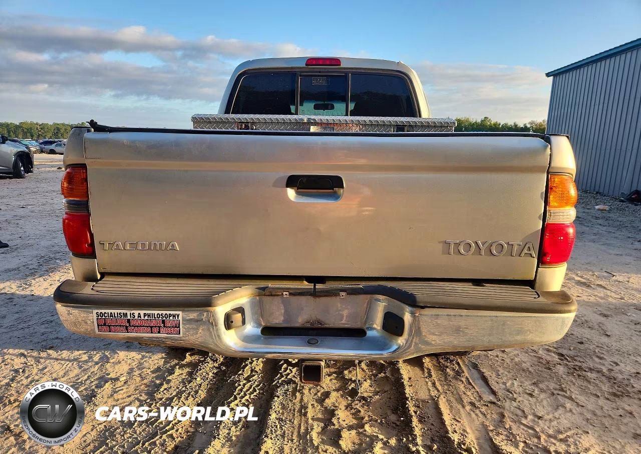 2004 Toyota Tacoma Prerunner V6 VIN:5TEGN92N84Z317303 - 6