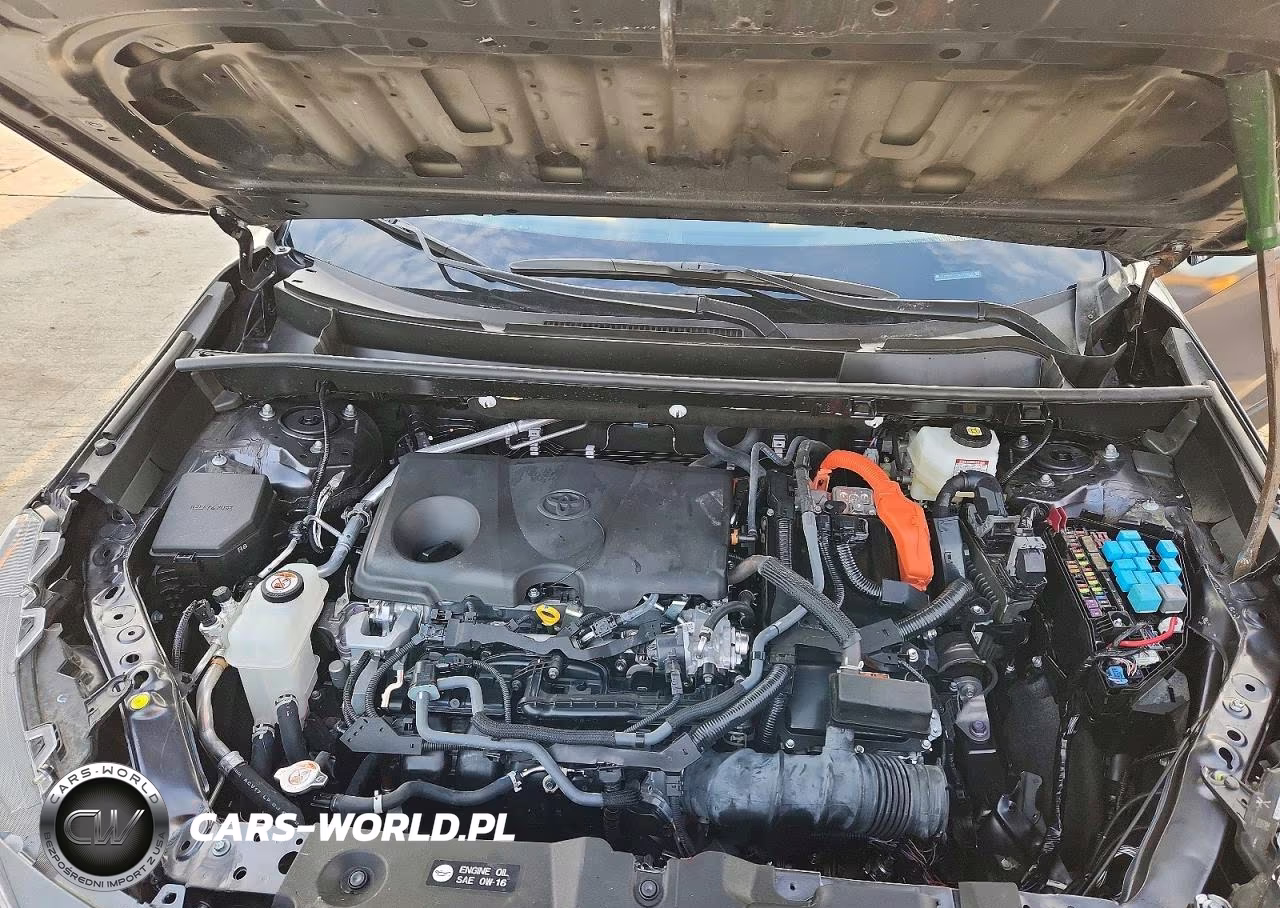 2025 Toyota Rav4 Hybrid Xle VIN:JTMRWRFV9SJ083535 - 12