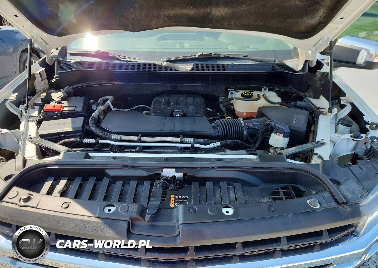 2020 Chevrolet Silverado K1500 Lt VIN:3GCPYDEK1LG222829 - 11