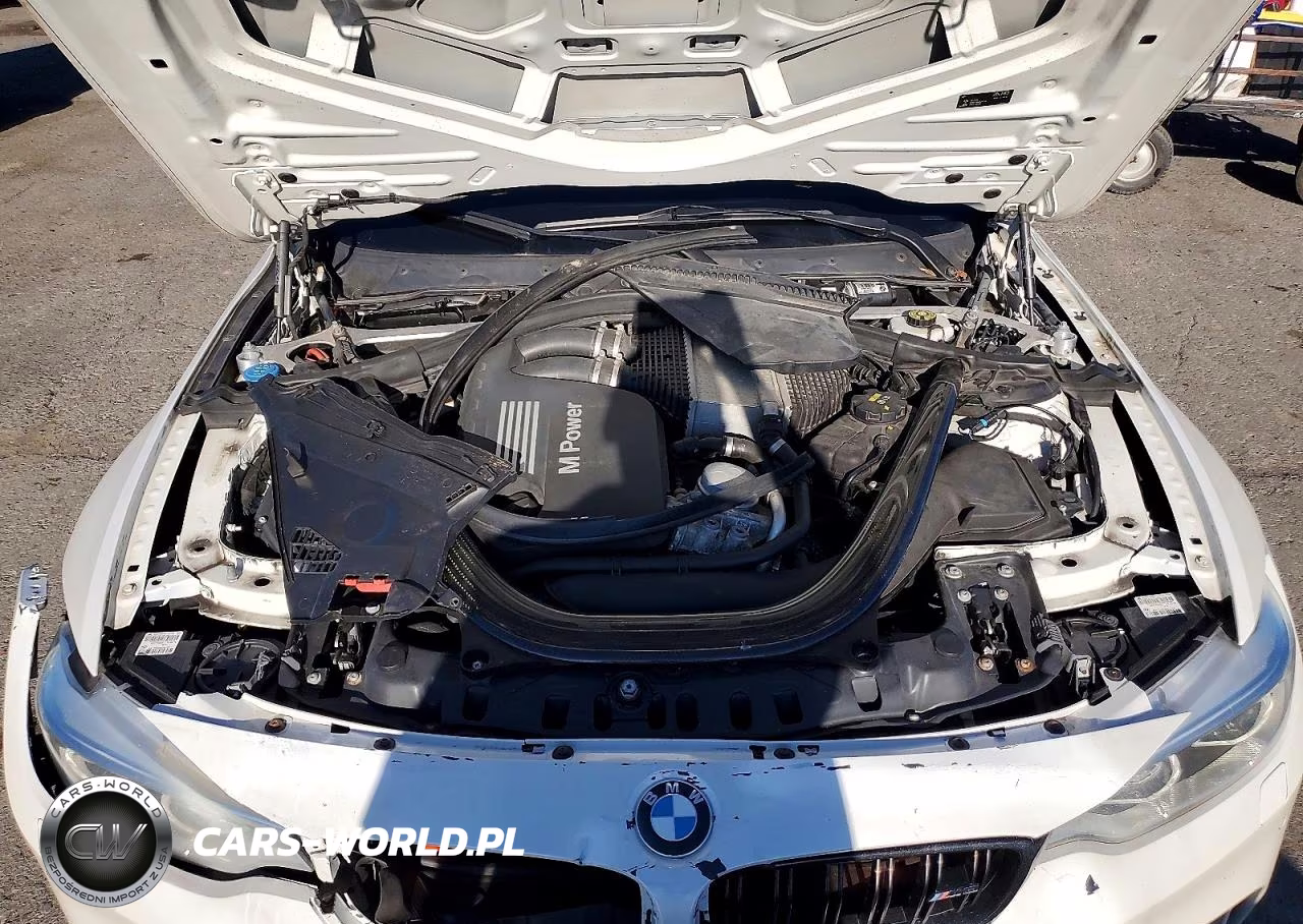 2016 BMW M3 VIN:WBS8M9C56G5G41813 - 11