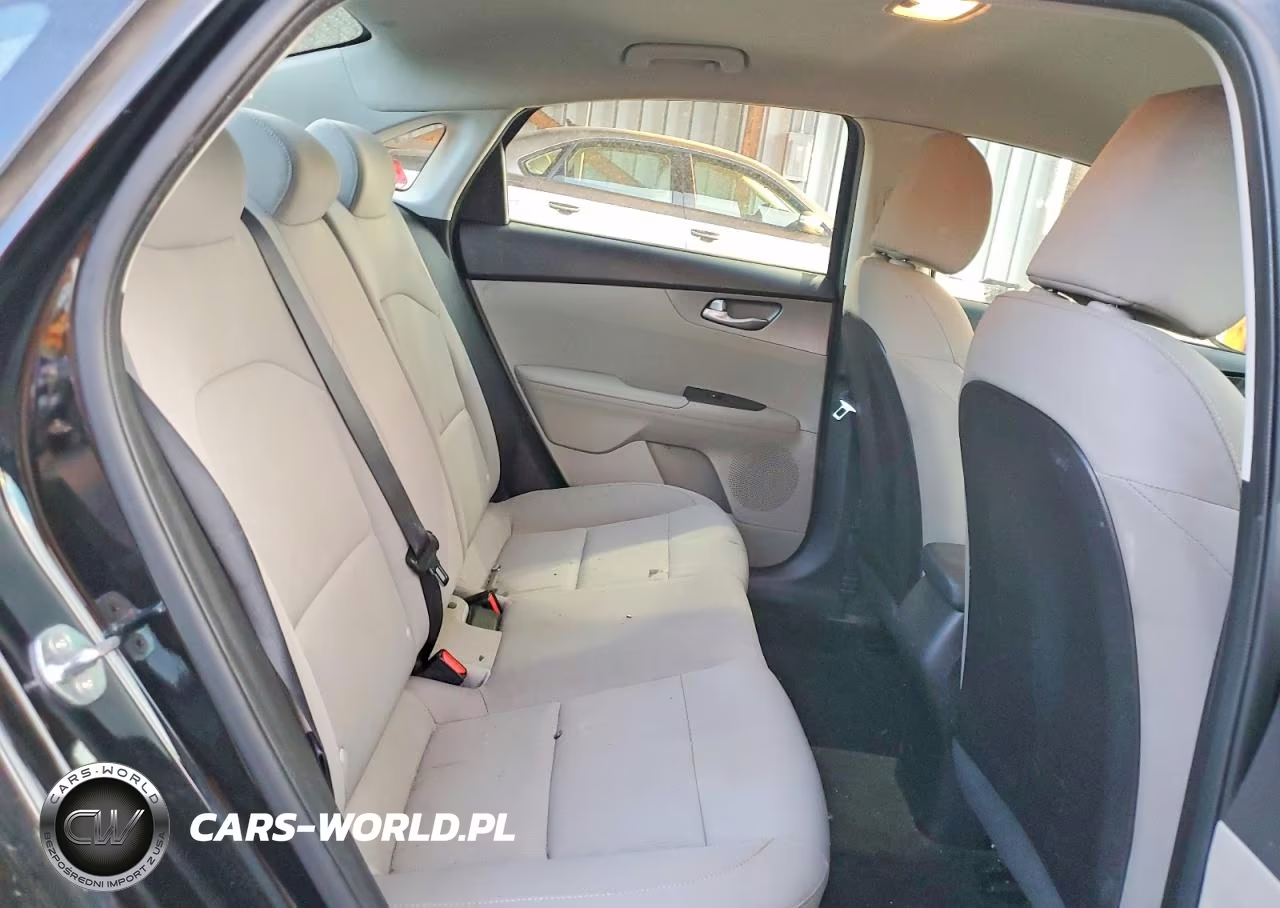 2019 Kia Forte Lxs VIN:3KPF24AD3KE016670 - 10