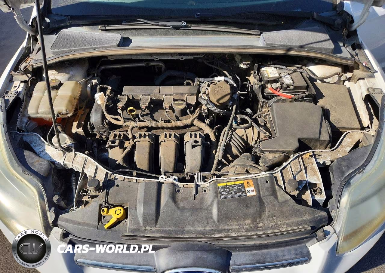 2013 Ford Focus Se VIN:1FADP3K25DL307865 - 11