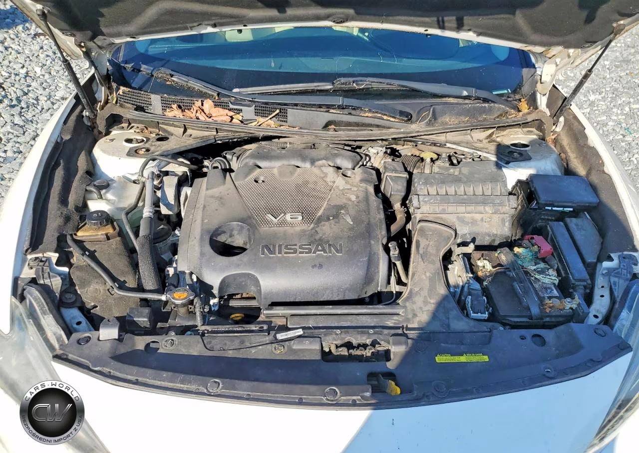 2016 Nissan Maxima Platinum VIN:1N4AA6AP0GC375224 - 11