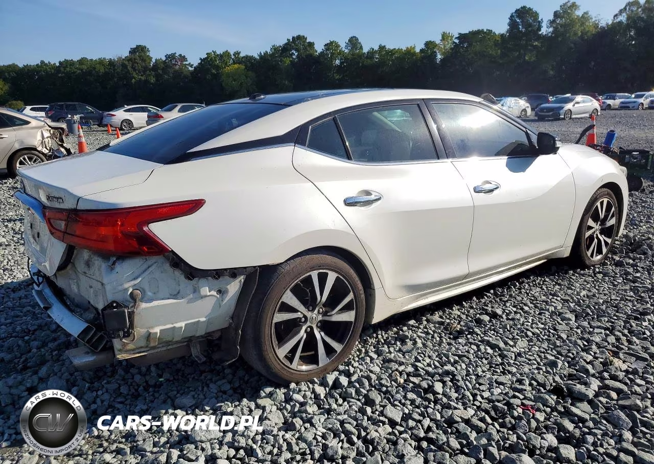 2016 Nissan Maxima Platinum VIN:1N4AA6AP0GC375224 - 3