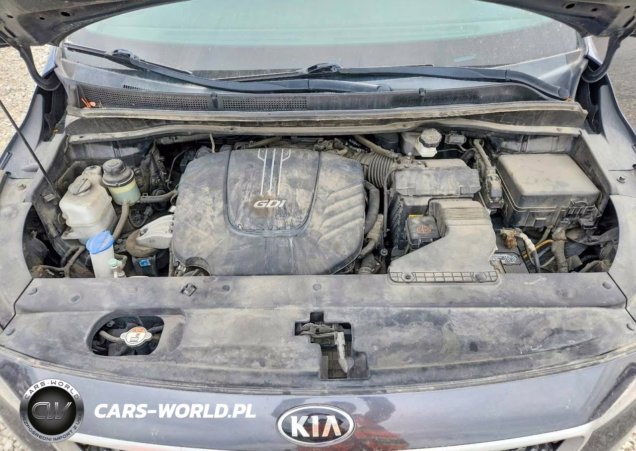 2017 Kia Sedona Lx VIN:KNDMB5C11H6324175 - 12