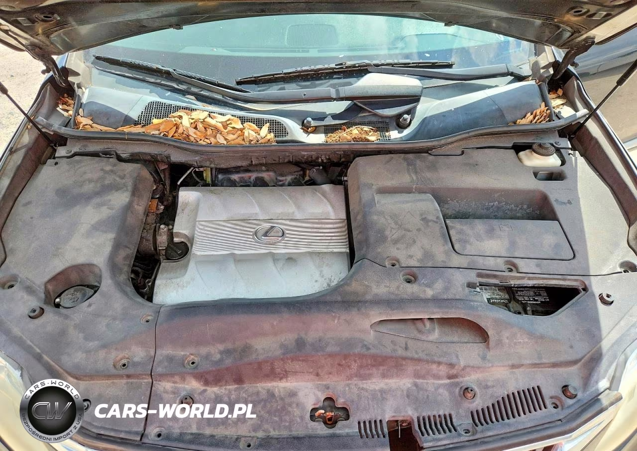 2010 Lexus Rx 350 VIN:2T2ZK1BA7AC025610 - 12