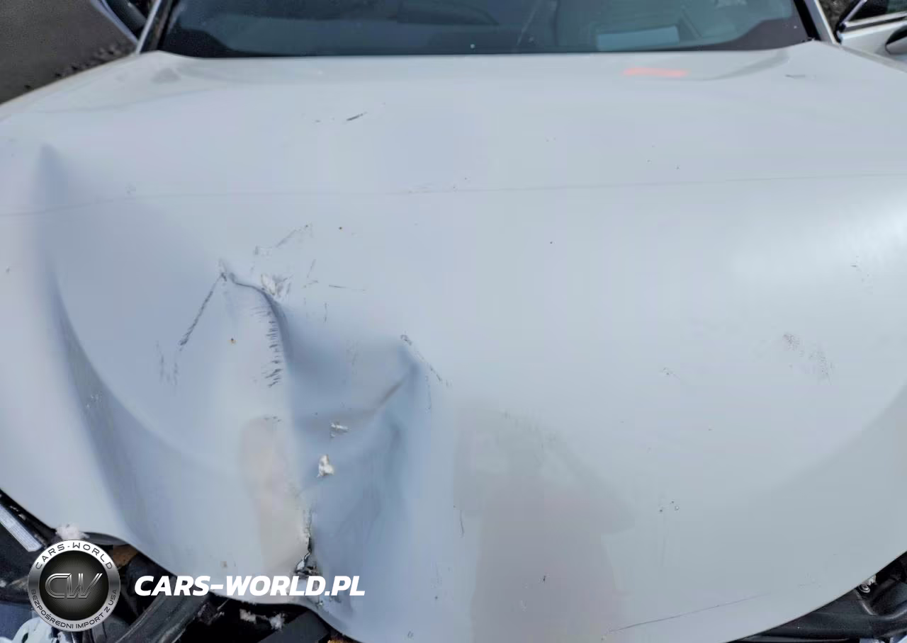 2021 Lexus Ux 250H VIN:JTHL9JBH9M2042557 - 11