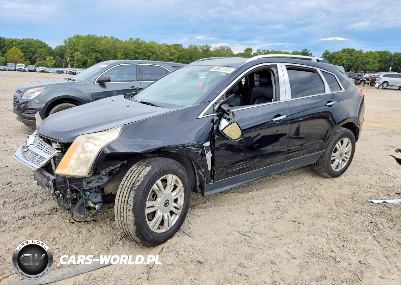2010 Cadillac Srx Luxury Collection VIN:3GYFNAEY7AS654787 - 1