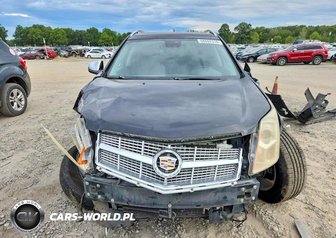 2010 Cadillac Srx Luxury Collection VIN:3GYFNAEY7AS654787 - 5