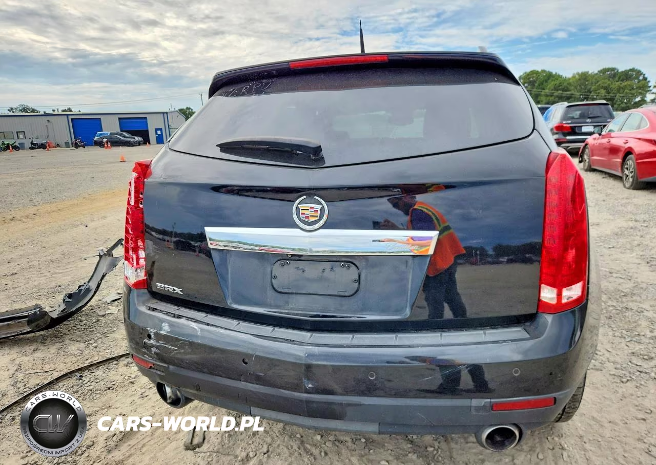 2010 Cadillac Srx Luxury Collection VIN:3GYFNAEY7AS654787 - 6