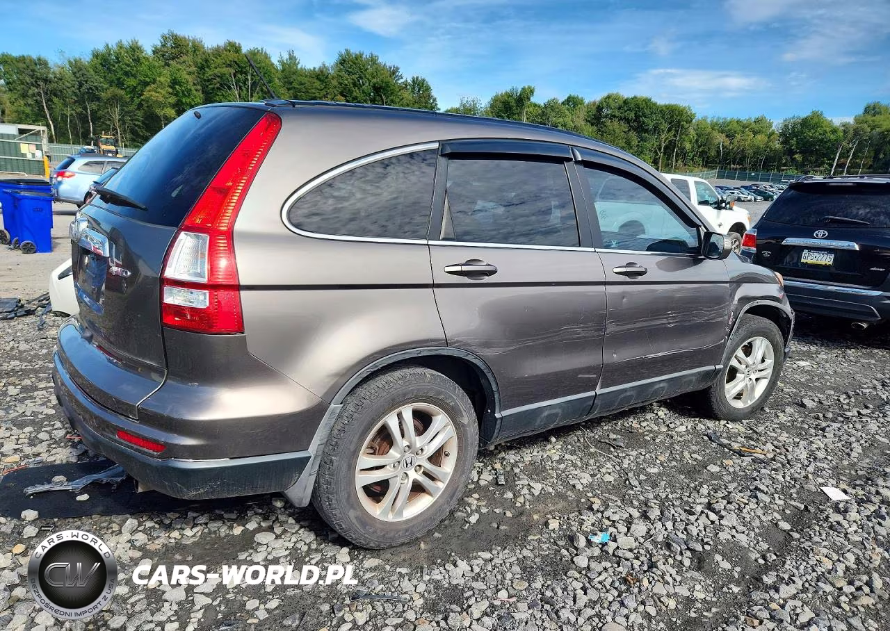 2010 Honda Cr-V Exl VIN:5J6RE4H72AL017328 - 3