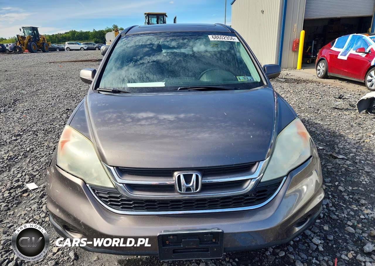 2010 Honda Cr-V Exl VIN:5J6RE4H72AL017328 - 5