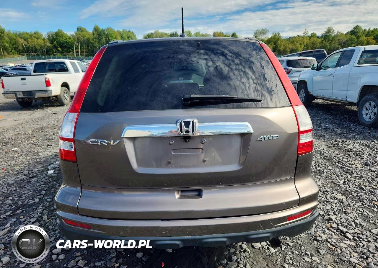 2010 Honda Cr-V Exl VIN:5J6RE4H72AL017328 - 6