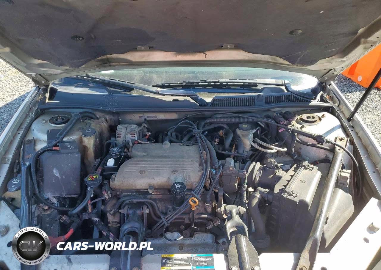 2009 Chev Impala VIN:2G1WT57N191141265 - 11