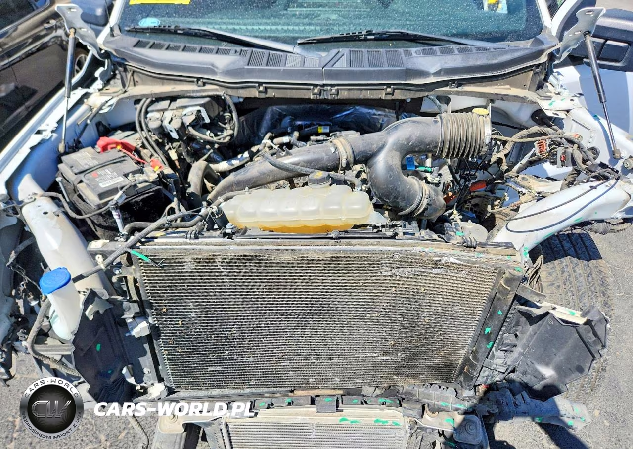 2021 Ford F150 Supercrew VIN:1FTEW1CP4MKD23156 - 11
