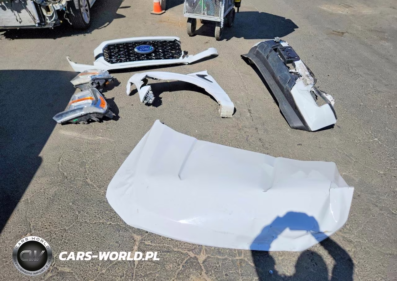 2021 Ford F150 Supercrew VIN:1FTEW1CP4MKD23156 - 12