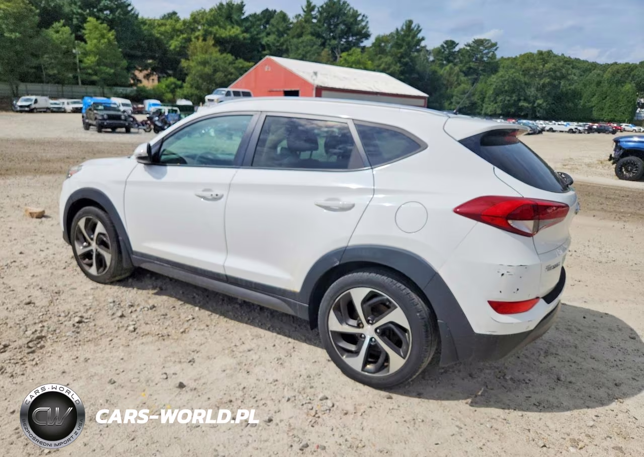 2016 Hyundai Tucson Sport VIN:KM8J3CA22GU043315 - 2