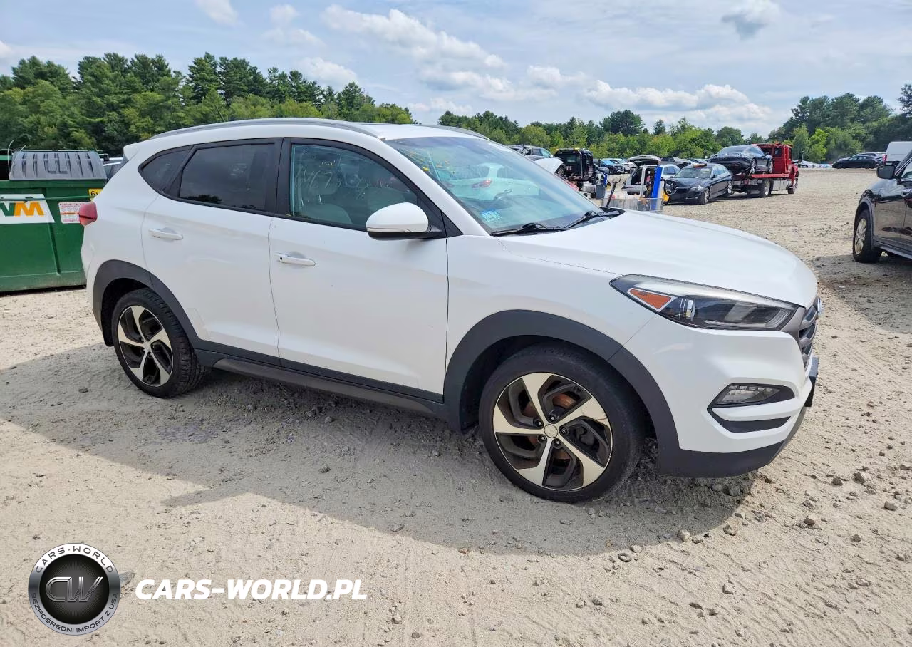 2016 Hyundai Tucson Sport VIN:KM8J3CA22GU043315 - 4