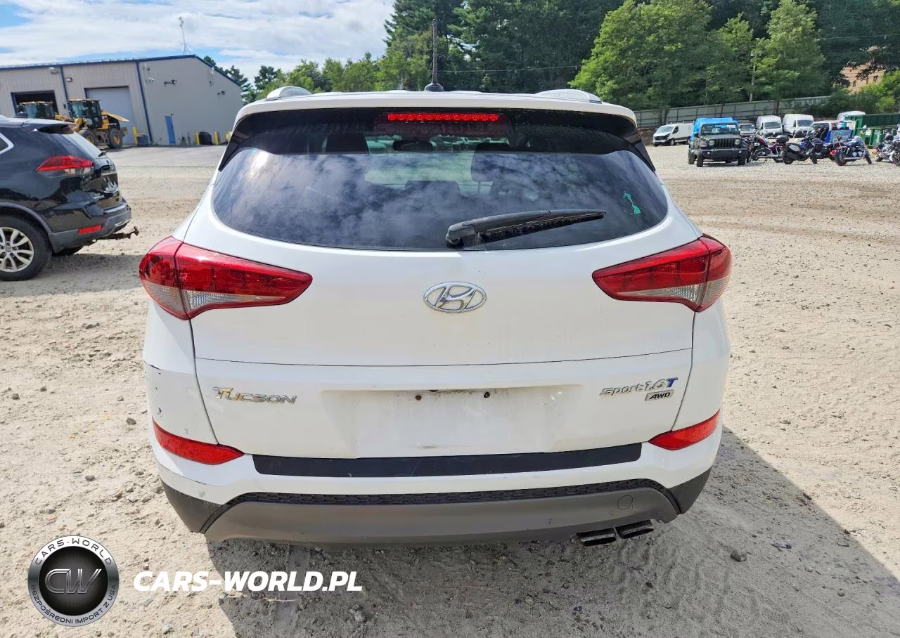 2016 Hyundai Tucson Sport VIN:KM8J3CA22GU043315 - 6
