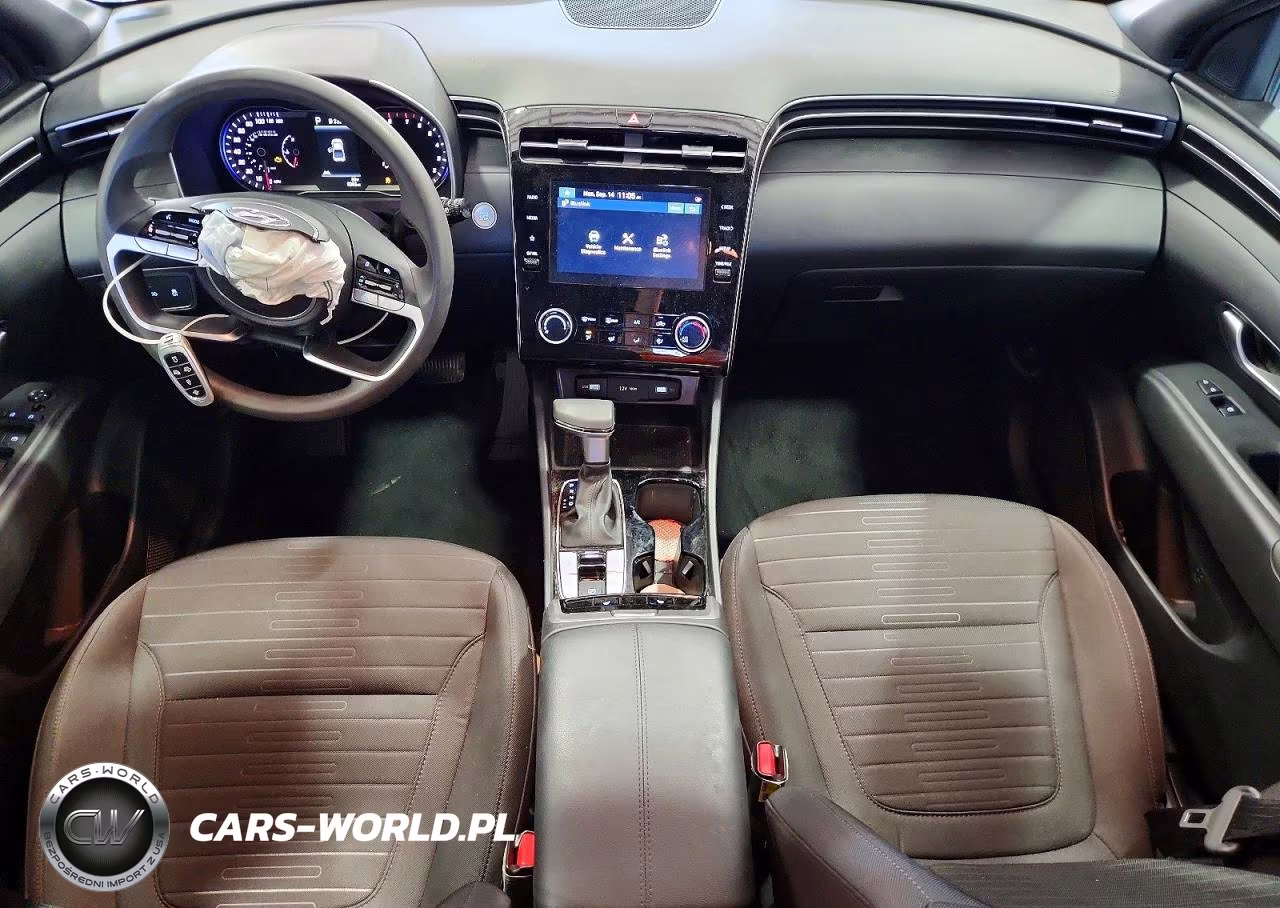 2023 Hyundai Santa Cruz Sel VIN:5NTJBDAE8PH052233 - 8