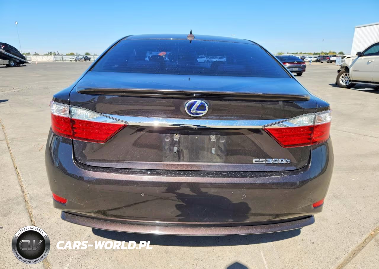 2013 Lexus Es 300H VIN:JTHBW1GG0D2014103 - 6