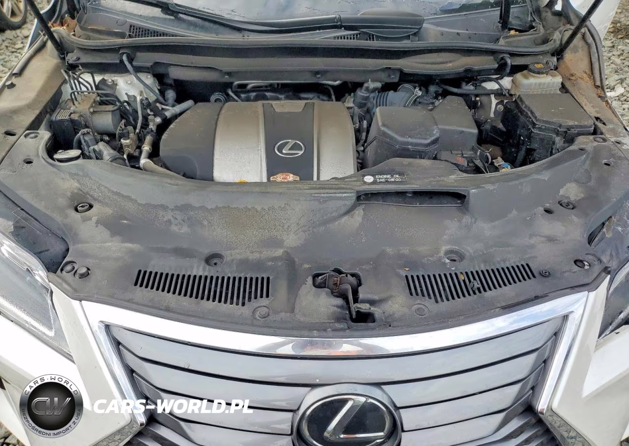 2019 Lexus Rx 350 L VIN:JTJDZKCAXK2019179 - 12