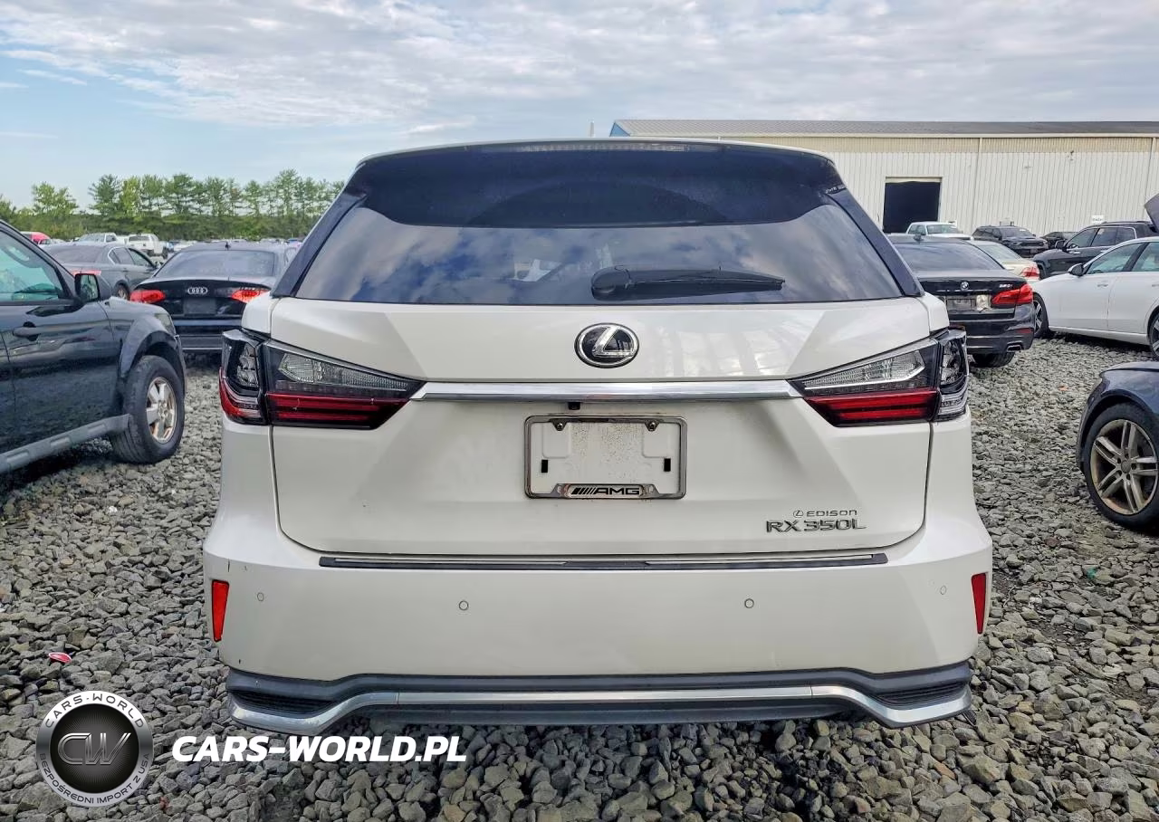 2019 Lexus Rx 350 L VIN:JTJDZKCAXK2019179 - 6