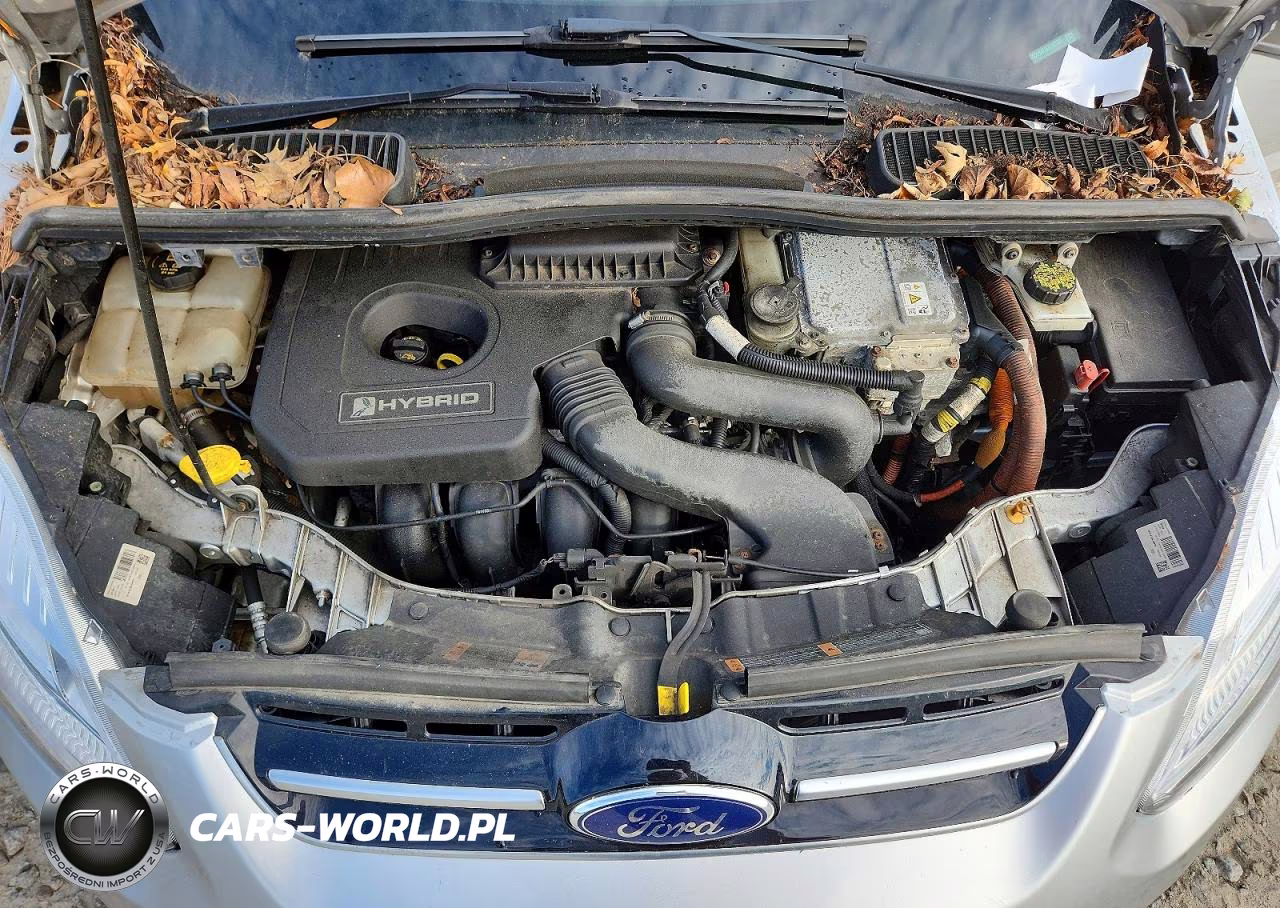 2018 Ford C-Max Se VIN:1FADP5AU6JL103389 - 12