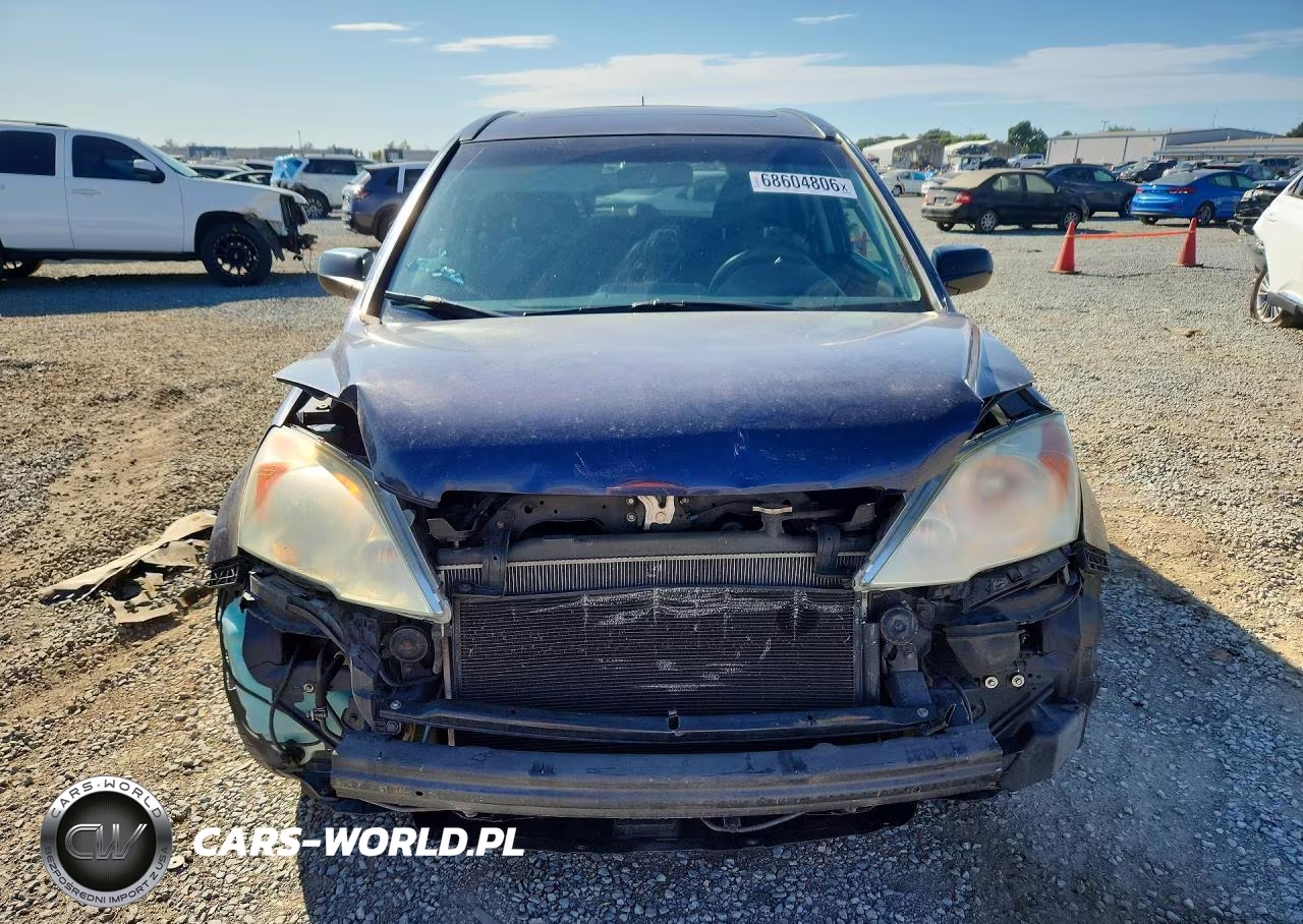 2009 Honda Cr-V Ex VIN:5J6RE38549L009798 - 5