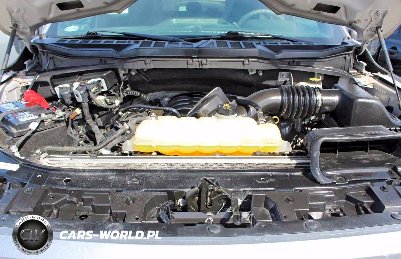 2022 Ford F-150 Xl VIN:1FTEW1C56NKF22824 - 7