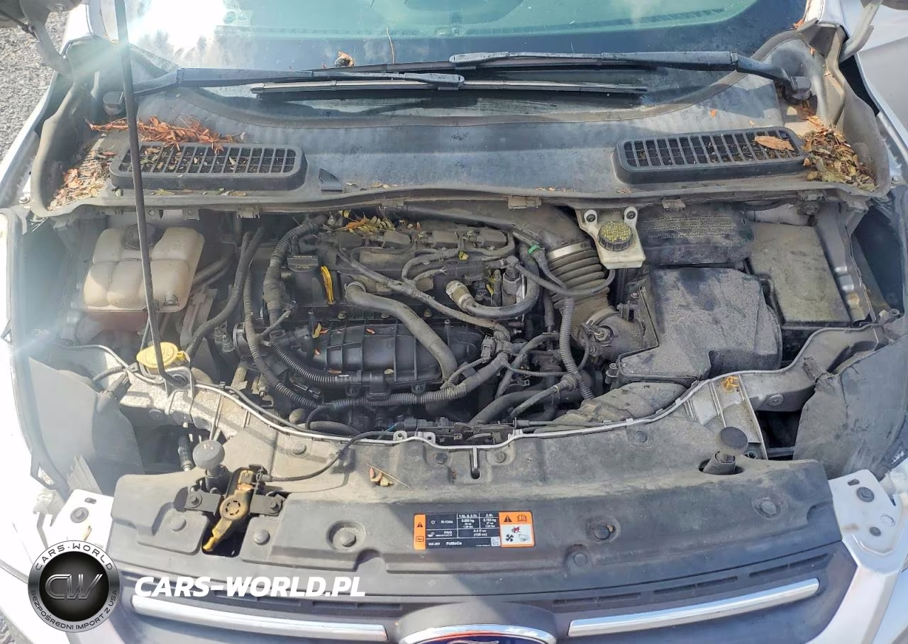 2015 Ford Escape Se VIN:1FMCU9GX8FUB61623 - 12