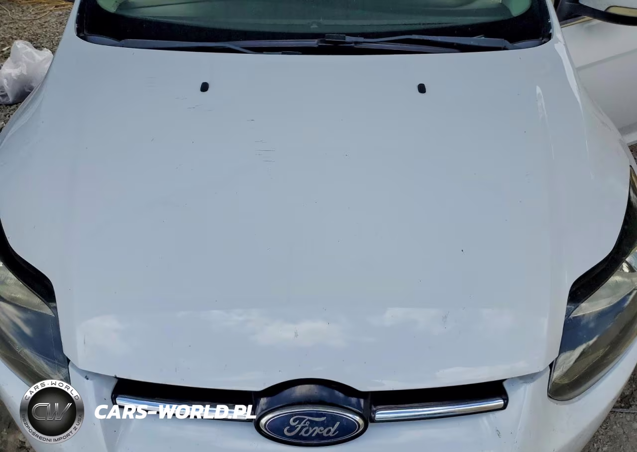 2012 Ford Focus Sel VIN:1FAHP3M26CL244997 - 11