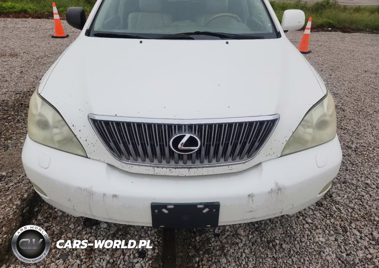 2004 Lexus Rx 330 VIN:2T2HA31U64C017556 - 11