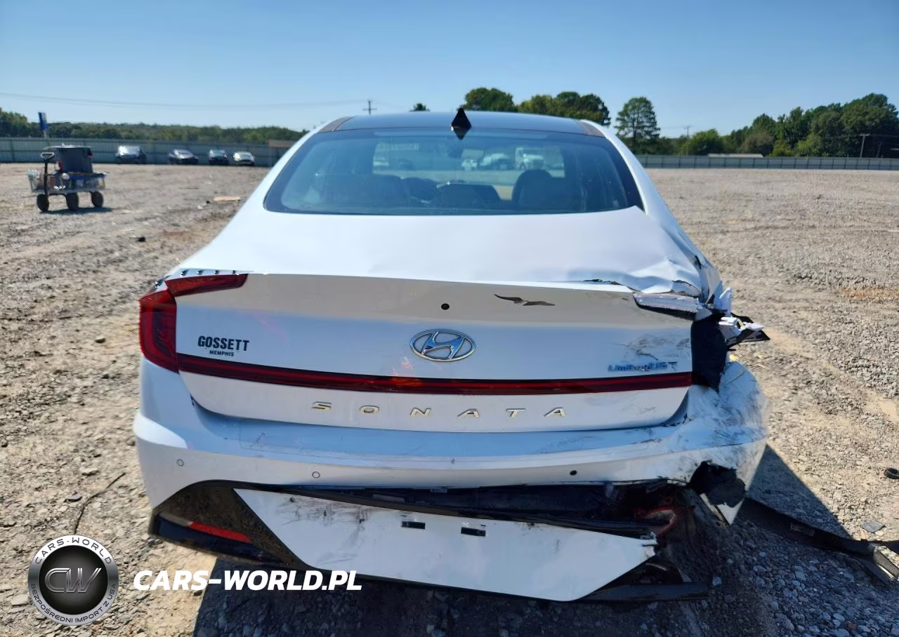 2020 Hyundai Sonata Limited VIN:5NPEH4J20LH028099 - 6