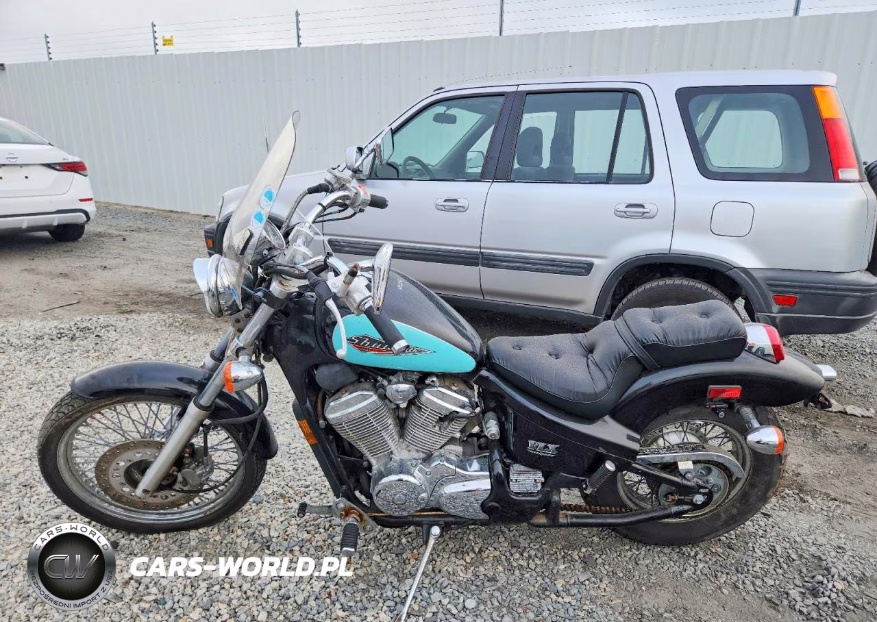 1996 Honda Vt600 VIN:JH2PC213XTM301373 - 3