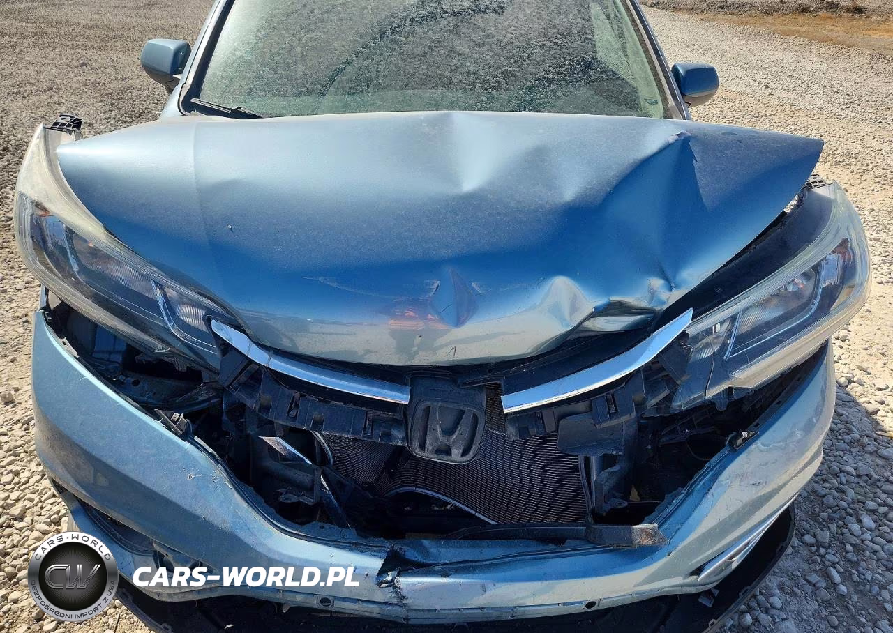 2016 Honda Cr-V VIN:2HKRM4H79GH634411 - 12