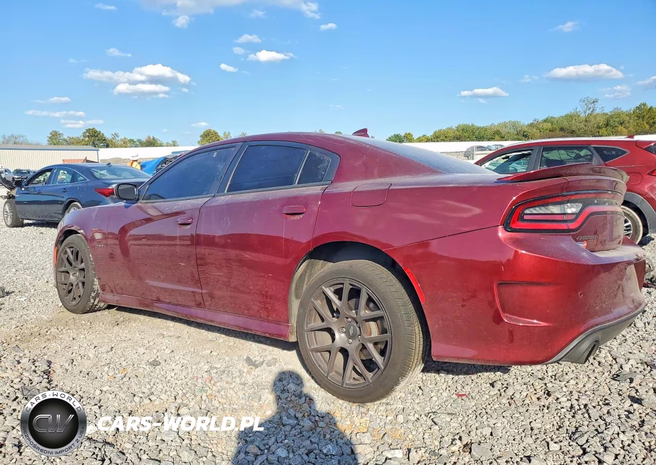 2019 Dodge Charger R-T VIN:2C3CDXCT7KH729843 - 2
