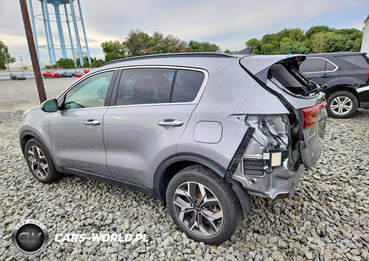 2022 Kia Sportage Ex VIN:KNDPNCAC7N7952860 - 2