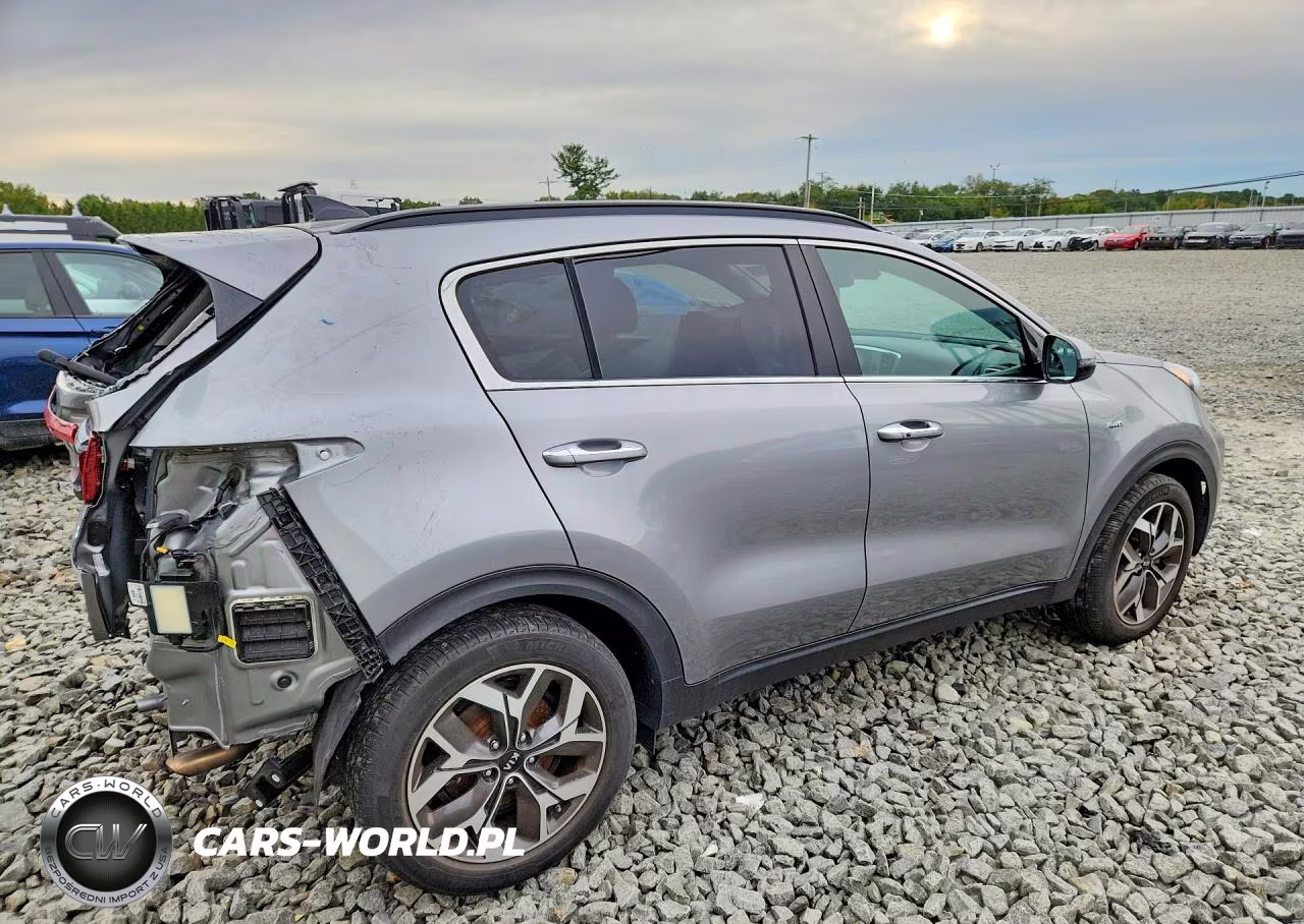 2022 Kia Sportage Ex VIN:KNDPNCAC7N7952860 - 3