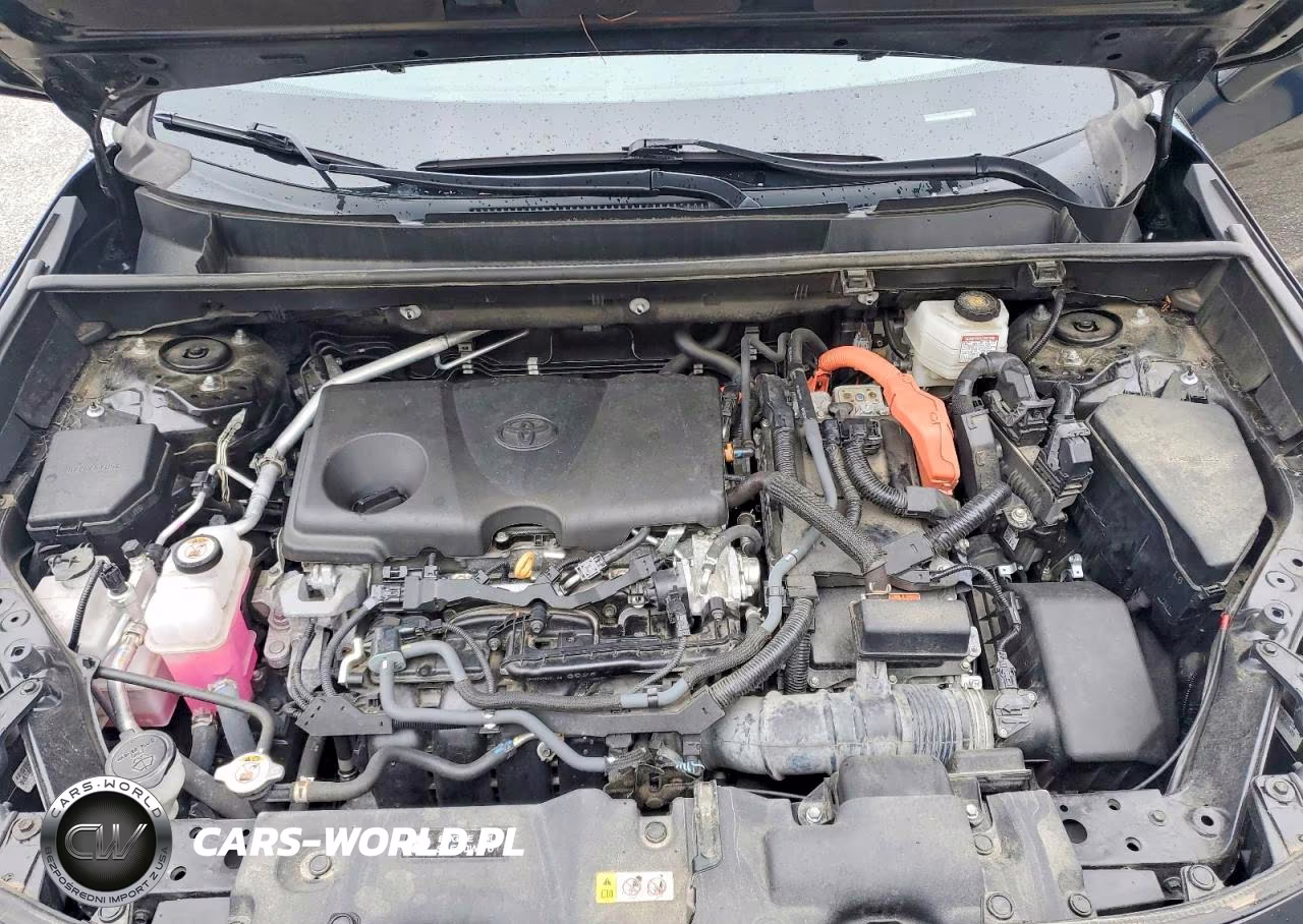 2023 Toyota Rav4 Limited VIN:4T3D6RFV9PU116360 - 12