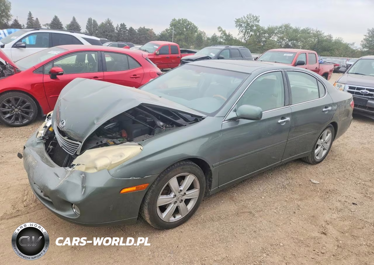 2005 Lexus Es 330 VIN:JTHBA30G555095250 - 1