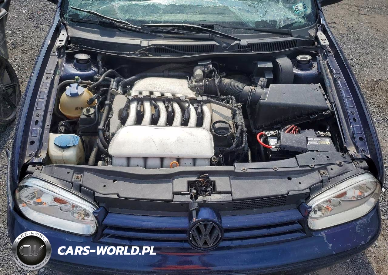 2002 Volkswagen Gti Vr6 VIN:9BWPH61J924060992 - 11