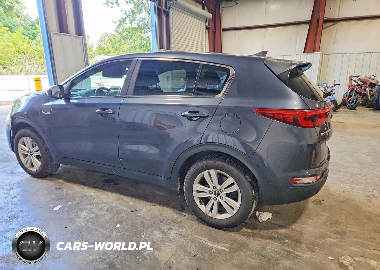 2019 Kia Sportage Lx VIN:KNDPM3AC7K7549413 - 2