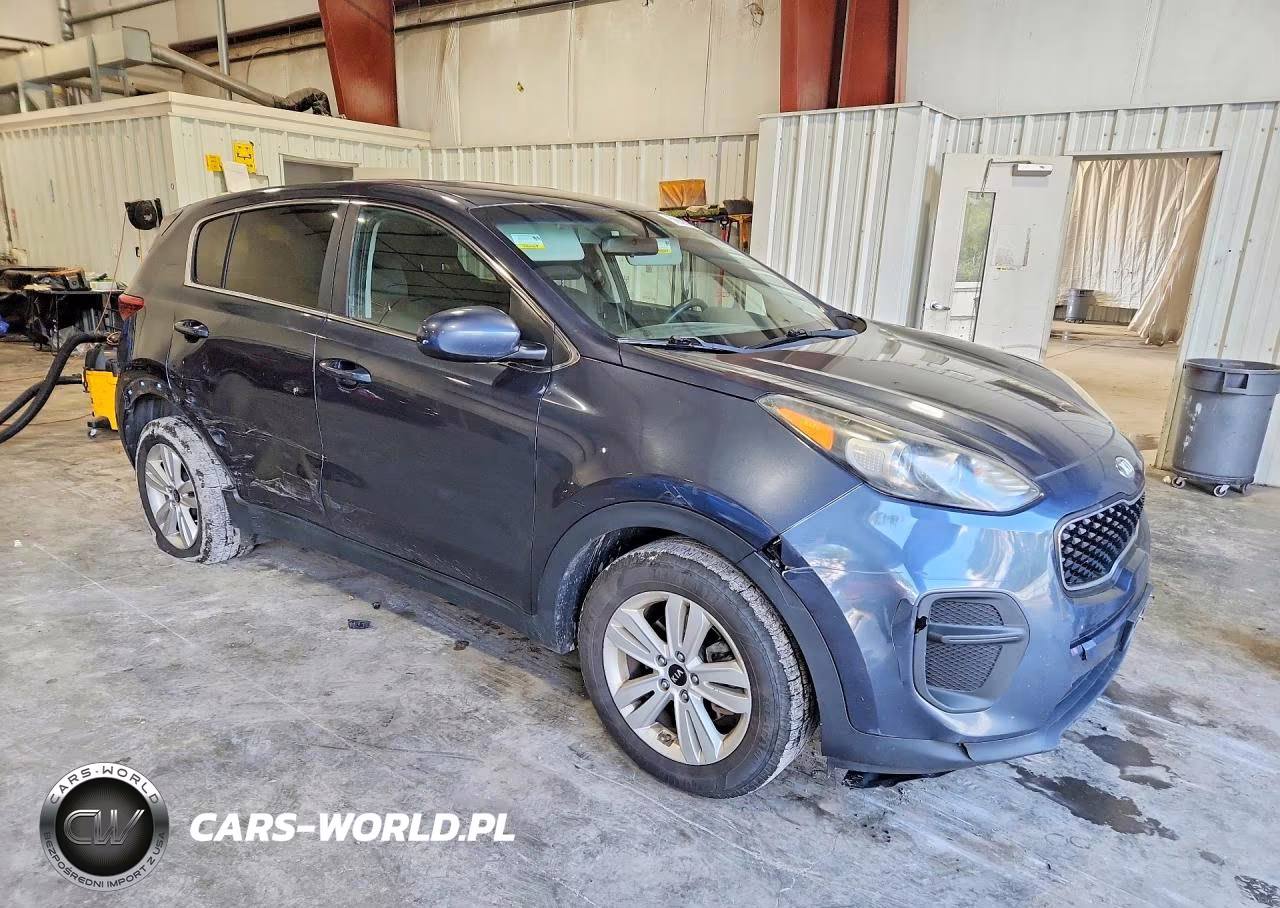 2019 Kia Sportage Lx VIN:KNDPM3AC7K7549413 - 4