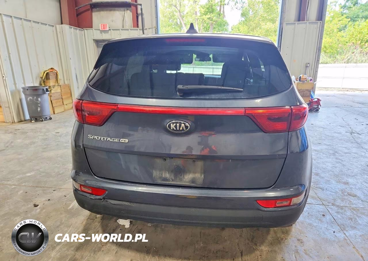2019 Kia Sportage Lx VIN:KNDPM3AC7K7549413 - 6